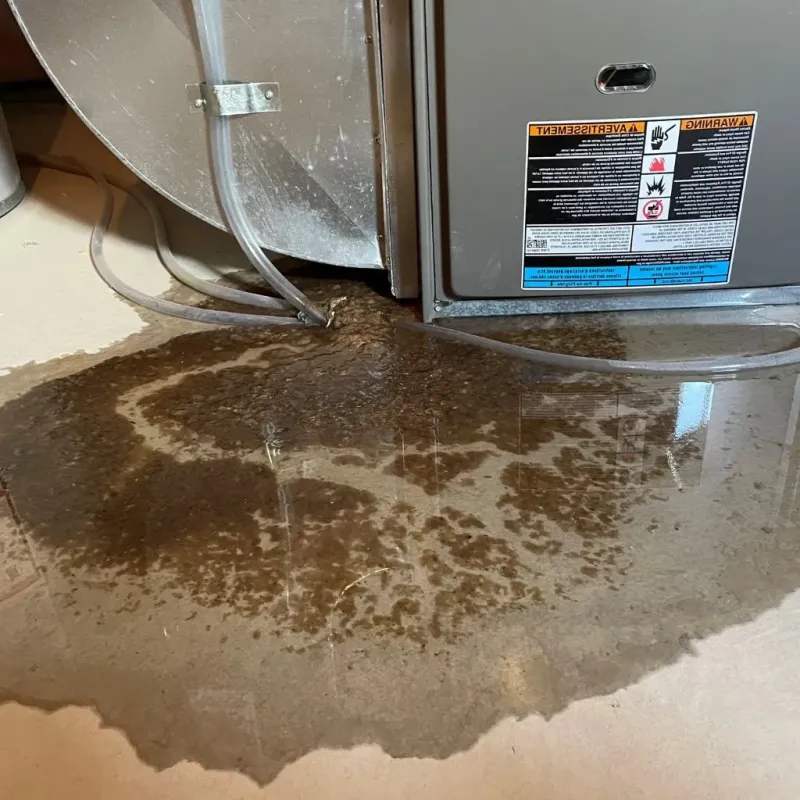 Pipe Burst and Leak Restoration in Opportunity, WA